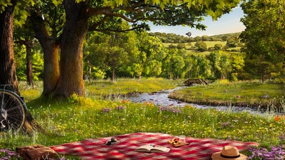 慵懒的夏日午后