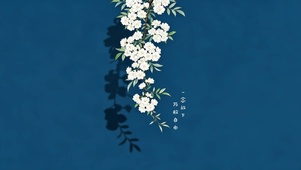 一念放下 万物自由