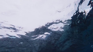 海