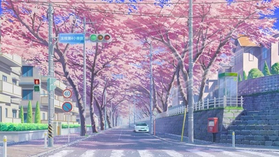 樱花公路
