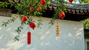 诗意秋