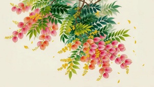 唯美的绿叶鲜花