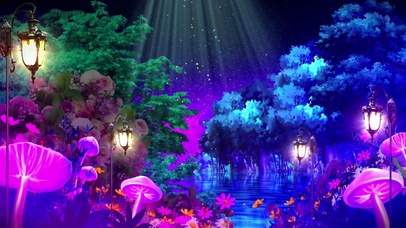 迷人的夜晚