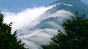 自然高山云雾