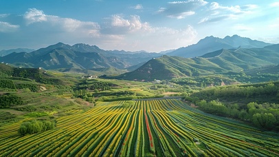 绿色群山春日花海