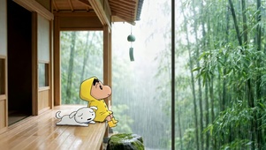 小新雨天竹林放松