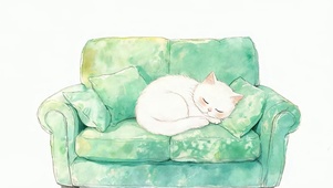 猫咪