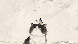 呆萌蝴蝶小猫