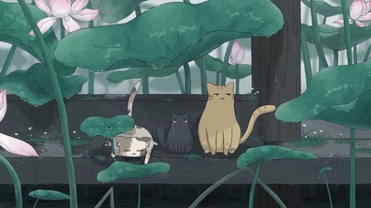 荷塘躲雨的喵星人