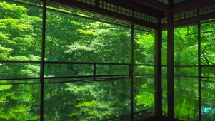 绿树阁楼