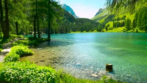 高原绿水湖