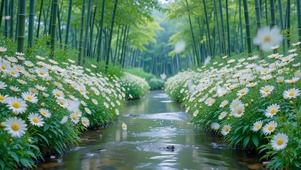河流与雏菊