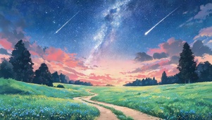 星空草原小路