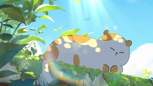 小猫在阳光下