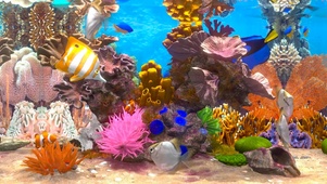 海底多彩珊瑚鱼