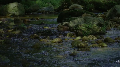 小溪流水