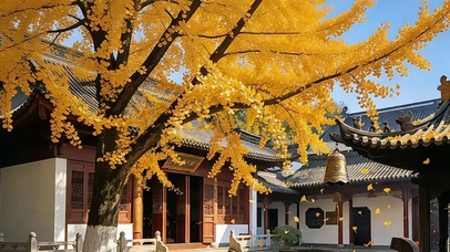 禅院落金扇