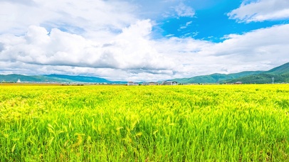 美丽的风景