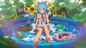 夏日懒猫