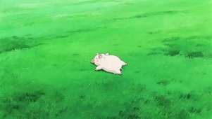 猪猪的梦想