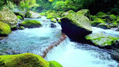 4k唯美护眼流水