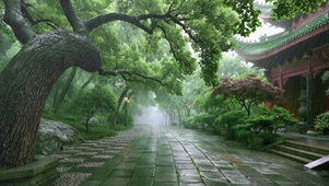 雨天青石路