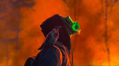 末日世界的一人一鸟