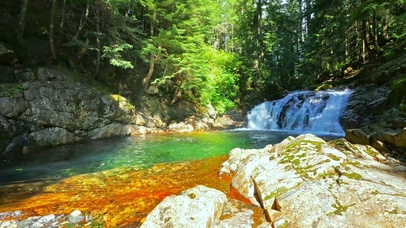 清澈深山小溪4K