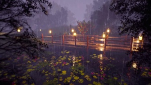 雨夜荷塘