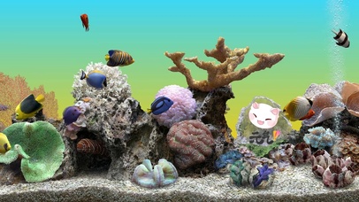 元气壁纸水族箱宽屏带鱼屏