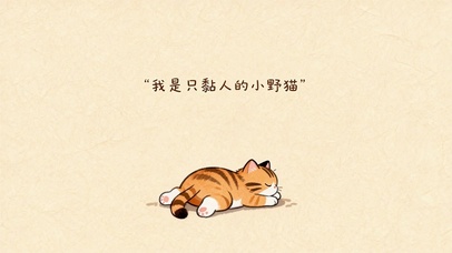 黏人可爱小野猫