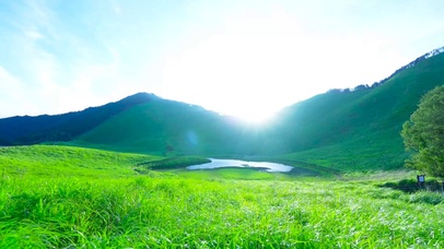 放松自然高山绿草