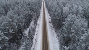 雪天森林公路