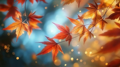 唯美光斑秋日浪漫枫叶