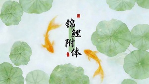 锦鲤附体 治愈护眼