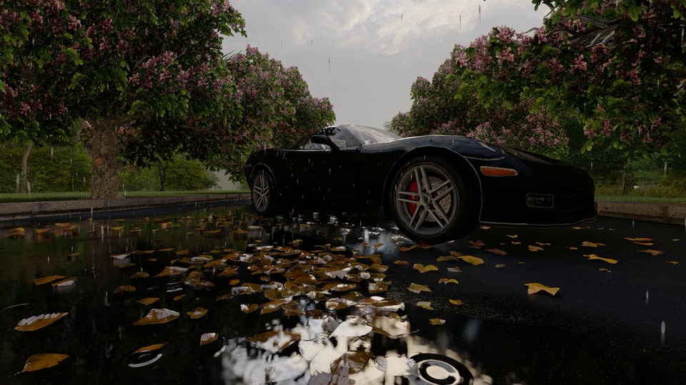 雨天湿滑柏油路上停着一辆黑色敞篷跑车，路面散落落叶，两侧是开满粉花的绿树。