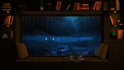 窗外大雨和可爱猫咪