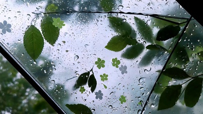 雨落琉璃窗