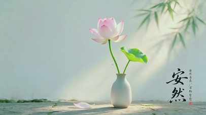 荷花安然