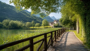 护眼绿景树木河流