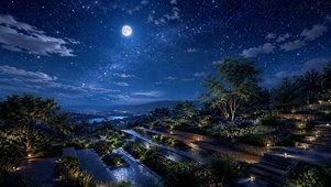 月下星夜庭园
