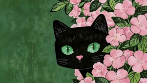 追迷藏的黑猫