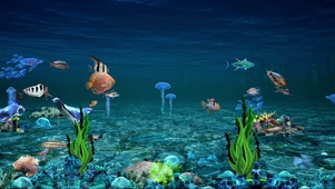 梦幻海底世界