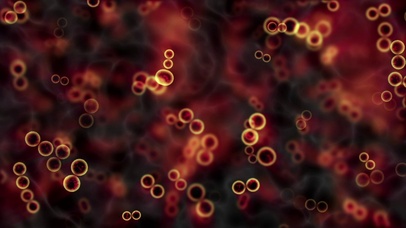 4K 高清 细胞分裂