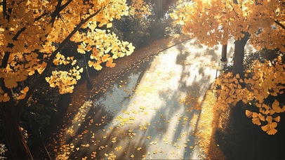 俯瞰秋日公园落叶一角