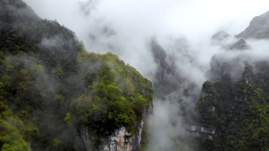 大山深处