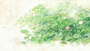 护眼小清新