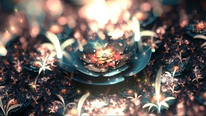分形花3
