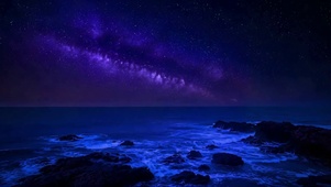 梦幻星空海岸夜景