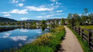 护眼蓝天白云树木河流